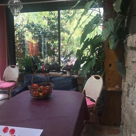 Le Paradis Bed and Breakfast Zicavo Buitenkant foto