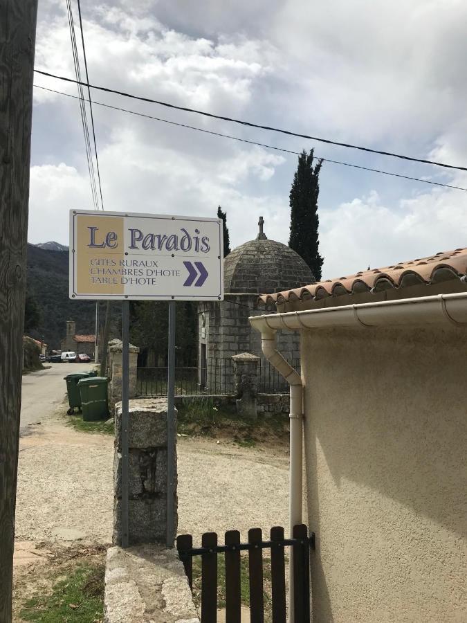 Le Paradis Bed and Breakfast Zicavo Buitenkant foto